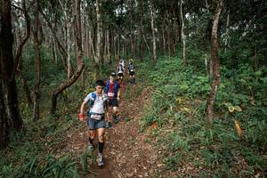 BIB: 
                            <button type="button" onclick="openModal(22795381)" class="btn btn-primary btn-sm float-right btn-popup" data-toggle="modal" data-target=".modal-high-quality">
                        <i class="fas fa-shopping-cart"></i> Add to Cart
                    </button>
                                            <button type="button" onclick="isThisMe(22795381, true)" class="btn btn-success btn-sm float-right btn-popup btn-isme hidden" data-toggle="tooltip" data-placement="bottom" title="นี่คือรูปของคุณใช่ไหม คลิกที่นี่เพื่อเอาเข้าอัลบั้ม">
                        <i class="fas fa-plus"></i> Add to album
                    </button>
                    <button type="button" onclick="isThisMe(22795381, false)" class="btn btn-warning btn-sm float-right btn-popup btn-isnotme hidden">
                        <i class="fas fa-ban"></i> Remove from album
                    </button>